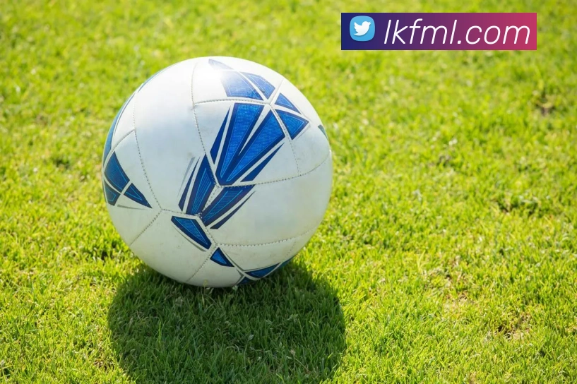 米兰milan官网服务体系